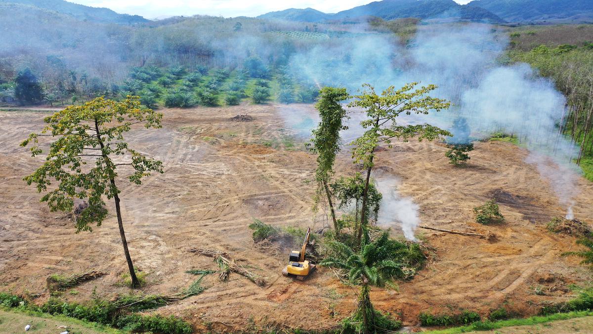 Deforestation in Thailand.