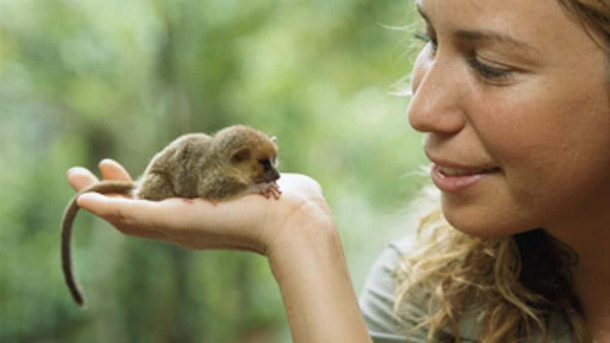 Famed explorer Mireya Mayor with the world's smallest primate.