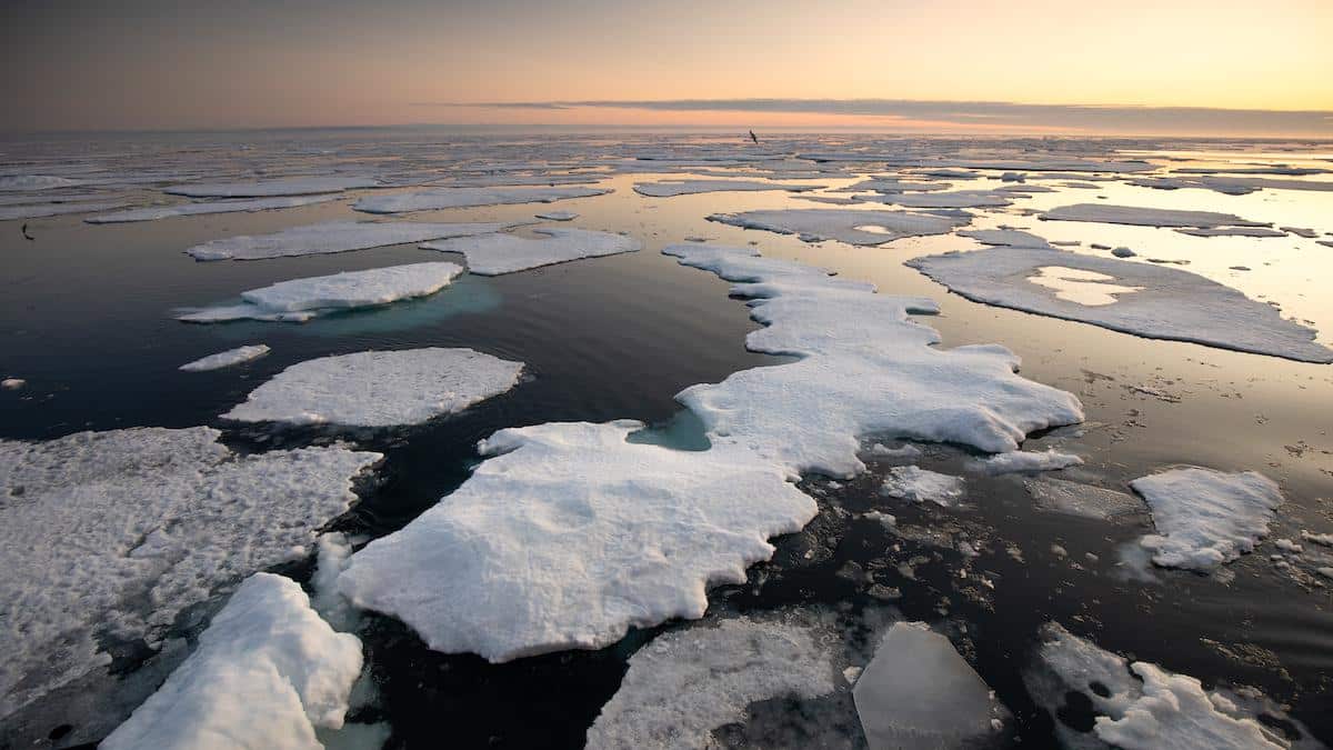 Arctic sea ice.