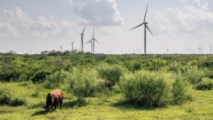 Texas Farmers and Ranchers Are Embracing Renewable Energy