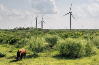Texas Farmers and Ranchers Are Embracing Renewable Energy