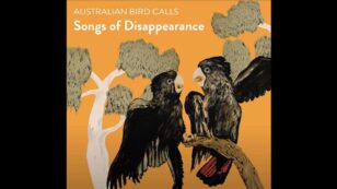 A Collection of Bird Calls Climbs Australia’s Music Charts