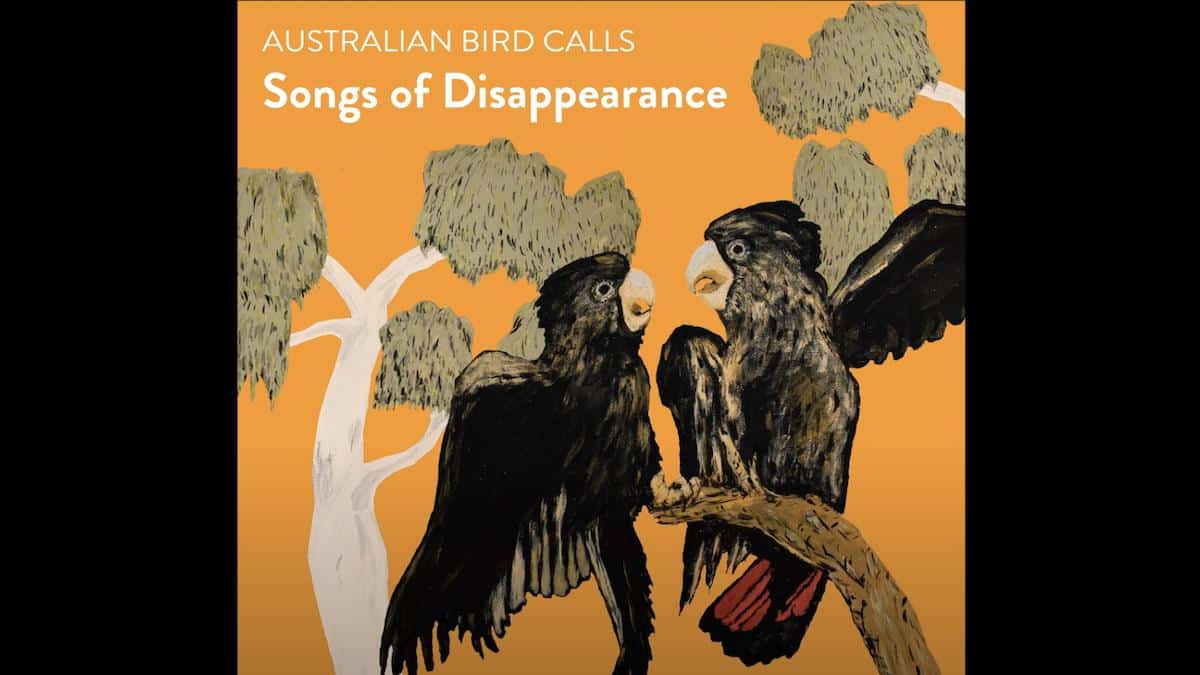 ​An album featuring 40 years’ worth of bird calls in Australia.
