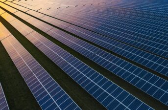Year in Review: 5 Biggest Wins for Solar Energy in 2021
