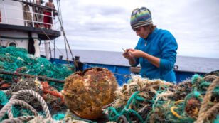 Great Pacific Garbage Patch Becomes an Ocean Habitat for Coastal Species