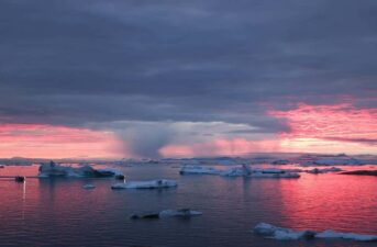 Rain Could Replace Snow in Arctic Decades Faster Than Previously Thought, Study Finds
