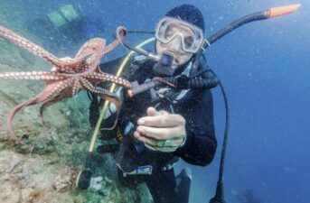 New Octopus Meat Farm Poses ‘Ethical and Ecological’ Harms, Animal Rights Advocates and Scientists Warn
