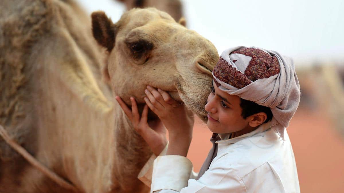 ​A Saudi boy poses with a camel.