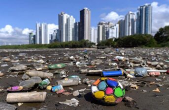 Microbes Are Evolving to Digest Plastic, Study Finds