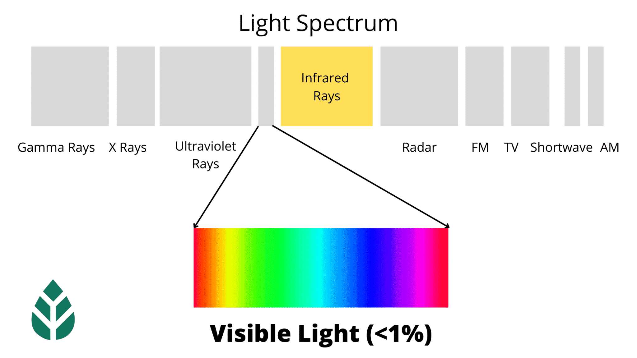 Light spectrum with visible light scale shown in color and infrared rays section highlighted.