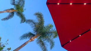 4 Best Solar Umbrella Lights of 2023