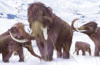 5 Ice Age Mammoths Discovered Near Busy Road in England