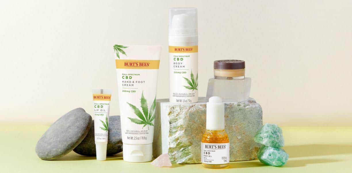 Favorite Brand Burt’s Bees Launches New CBD Line: Our Take