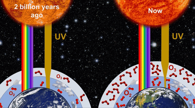 More Harmful UV Rays May Have Reached Earth as Life Evolved on Land