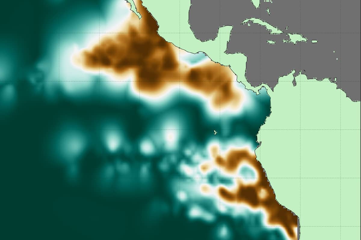 MIT scientists have generated an atlas of the world’s ocean dead zones.