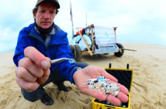 Microplastics Can Pollute Rivers for Seven Years Before Entering Ocean, Study Finds