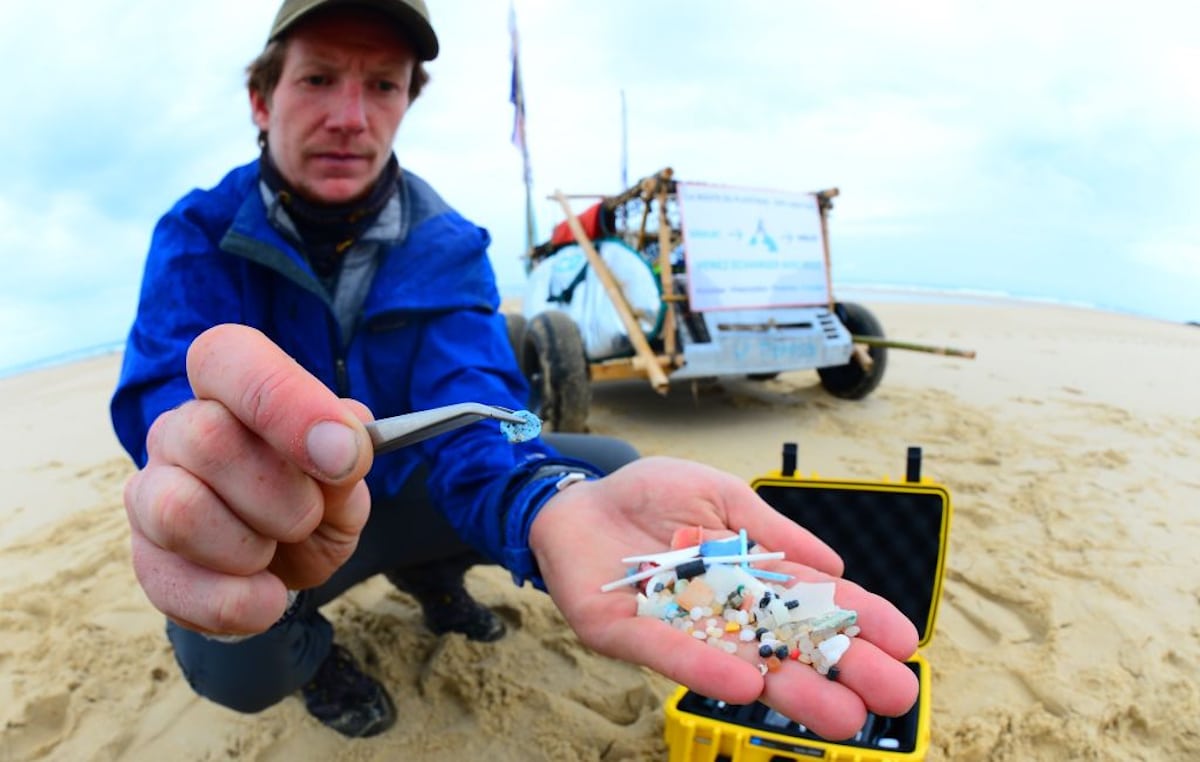 A French scientist shows microplastic waste collected on a beach.