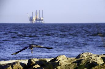 Federal Judge Cancels Oil and Gas Leases in Gulf of Mexico, Citing Climate Crisis
