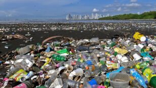 We Have Breached the Planetary Boundary for Plastics and Other Chemical Pollutants, Scientists Say