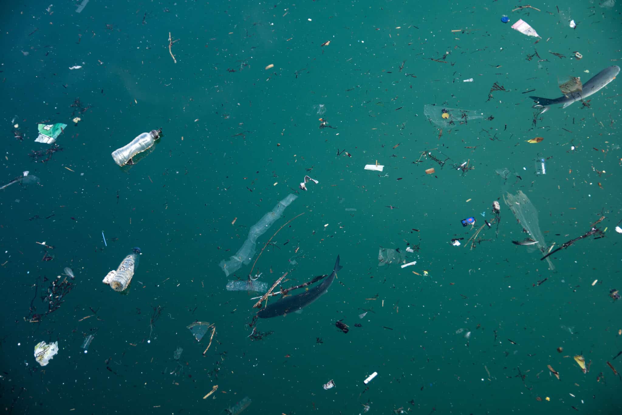 Plastic pollution in ocean problem.