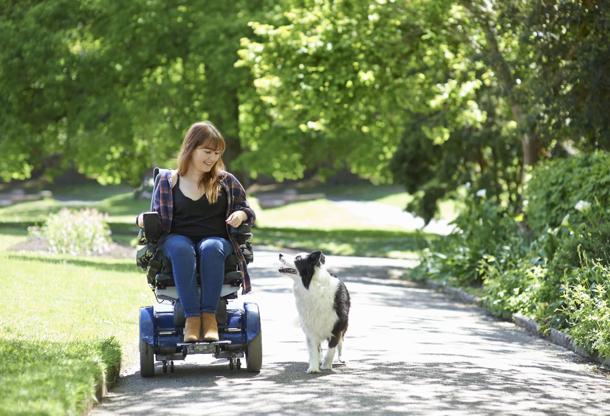 A happy disabled woman in a wheelchair looks and smiles as she takes her dog for a walk in the park.