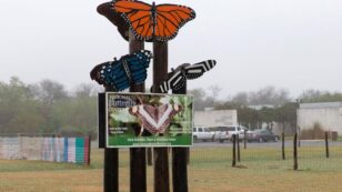 Butterfly Sanctuary That Stood Up to Trump’s Border Wall Closes After Right-Wing Threats