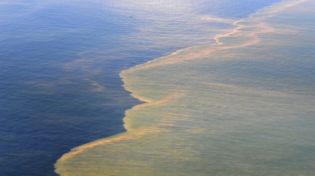 Sunlight Plays Key Role in Oil Spill Cleanup, Study Finds