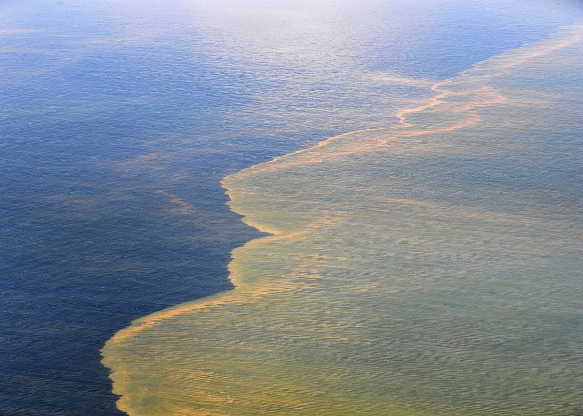 The Deepwater Horizon oil spill
