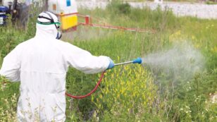 Toxic Weedkiller Chemicals Detected in Nearly 40% of People Tested in U.S. Study