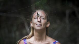 People Who Feel Connected to Nature Tend to Be Less Afraid of Snakes and Spiders, Study Finds