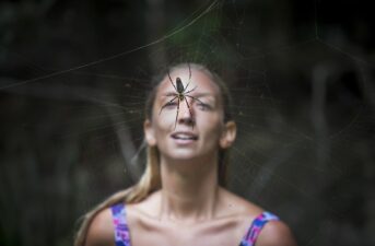 People Who Feel Connected to Nature Tend to Be Less Afraid of Snakes and Spiders, Study Finds