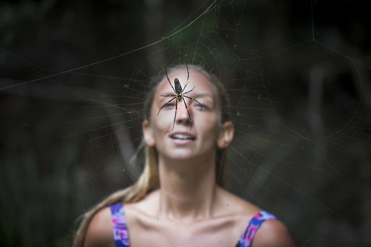 A woman stares at a spider in her path in a rainforest.