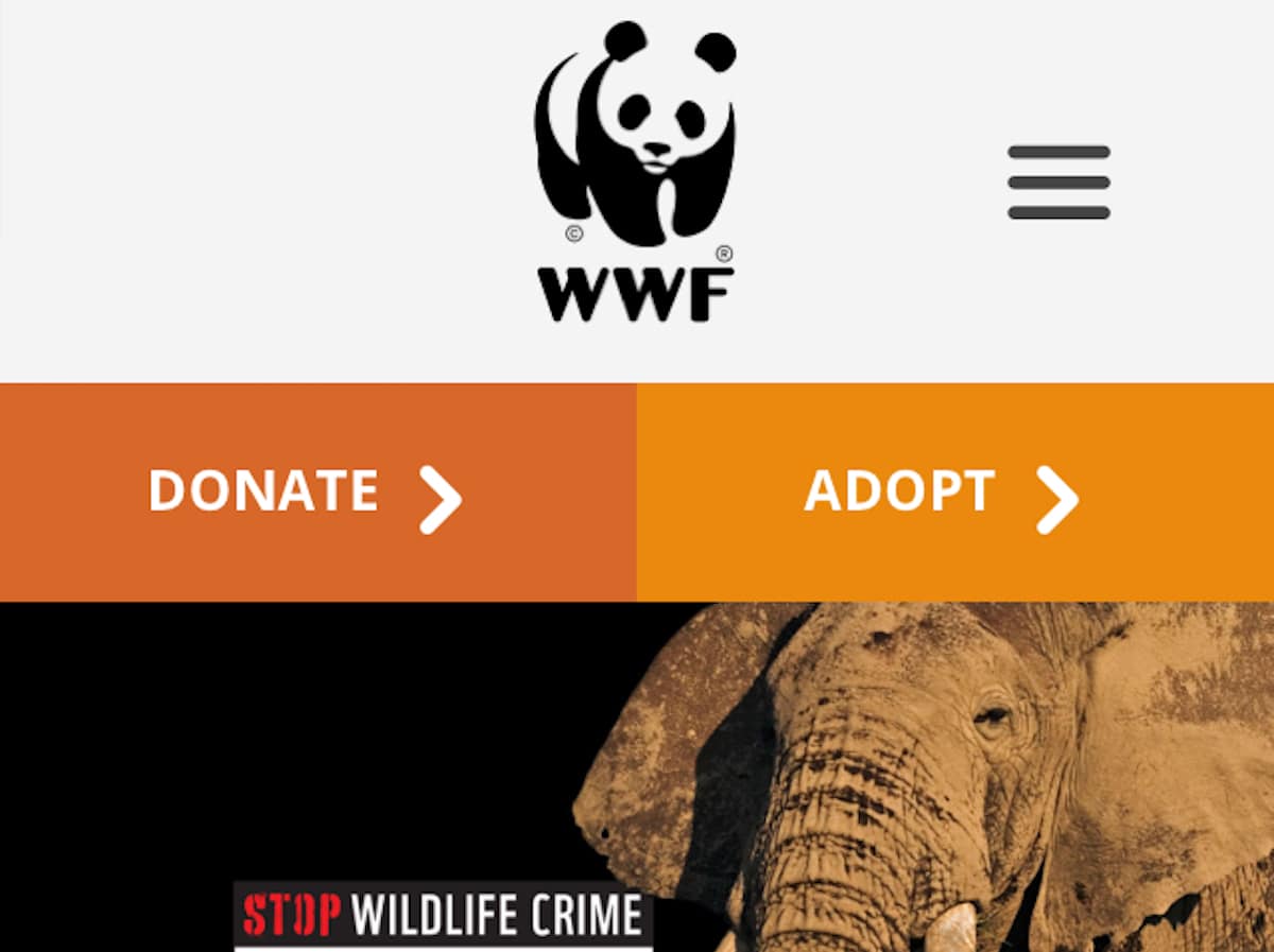 A page for fundraising on the World Wildlife Fund mobile site.