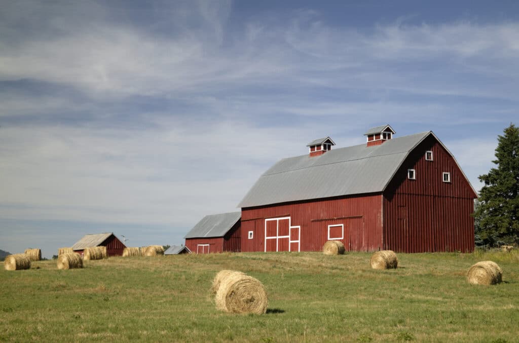Hay Bales and Red Barn
