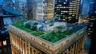 Rooftop Gardens Can Help Alleviate Heat in Cities, Study Finds