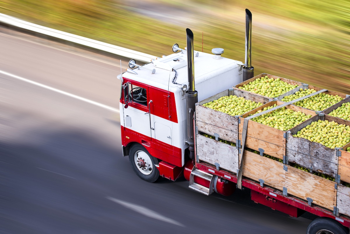 A big rig semi truck transports boxes of pears.