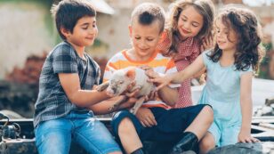 Children Believe Humans and Farm Animals Should Be Treated Equally, Study Finds
