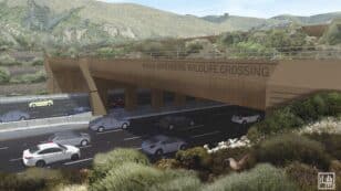 World’s Largest Wildlife Crossing Will Soon Stretch Across California’s Highway 101