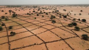 Up to 40% of the World’s Land Is Degraded by Humans, UN Report Warns