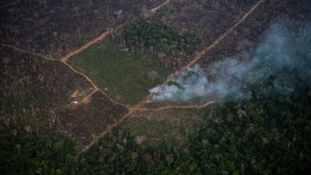 Brazilian Amazon Sees Record Deforestation During First Three Months of 2022