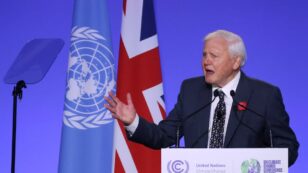 UN Declares David Attenborough a ‘Champion of the Earth’