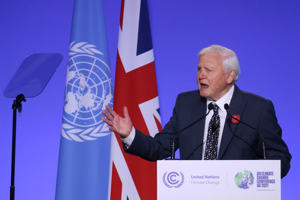 David Attenborough speaks at the COP26 climate conference in Glasgow