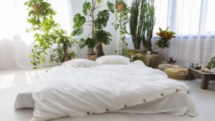How to Make Your Bedroom an Eco Haven