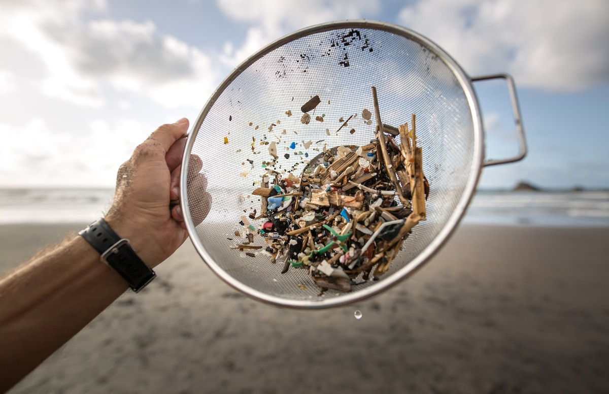 Microplastics found in the Canary Islands.