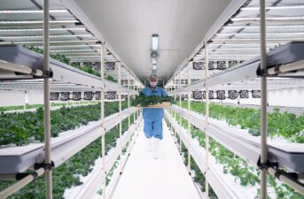 Vertical Farming Saves Water and Land and Could Help Global Food Security, Expert Says
