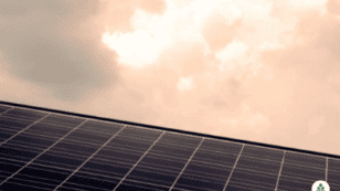 Massachusetts Solar Panels