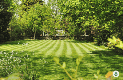 a beautiful lawn after being mowed width=“441” height=