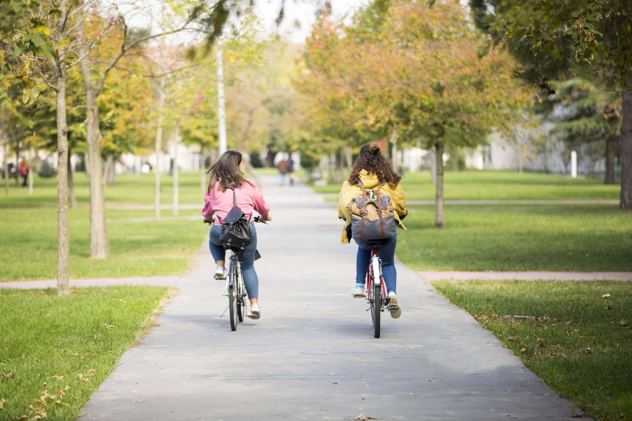 University students riding bicycles on sidewalk with trees and grass surrounding.