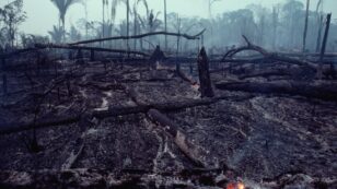 Brazil’s Amazon Breaks Another Deforestation Record