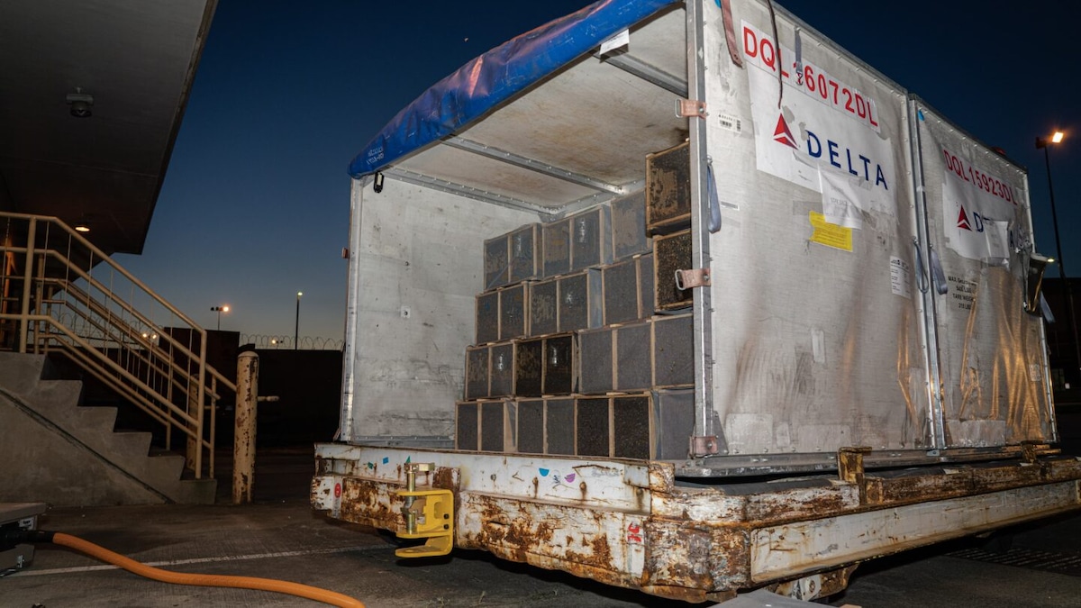 Containers of beehives en route from Sacramento, Calif., to Anchorage, Ala., were left in Delta Air Lines cargo storage at Atlanta's Hartsfield-Jackson International Airport.